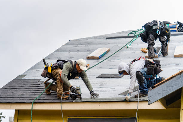 Professional Gutter Installation technician working in Perley, MN